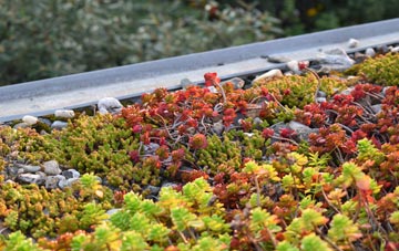 the cost of Owstwick green roof installation